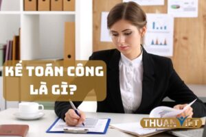 Kế toán công là gì? Sự khác nhau giữa kế toán công và kế toán doanh nghiệp