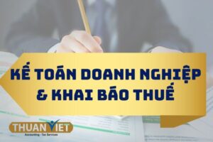 Dịch vụ kế toán doanh nghiệp và khai báo thuế trọn gói Thuận Việt